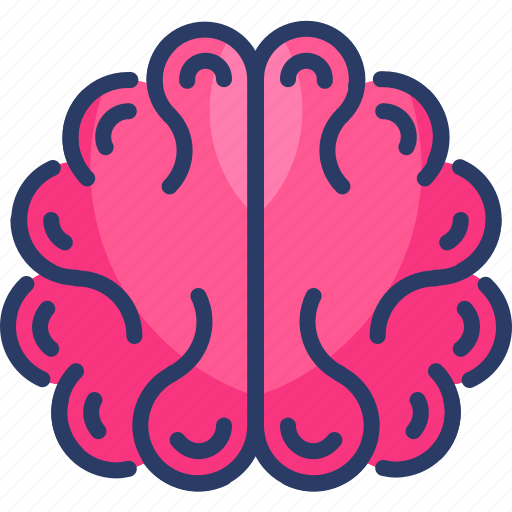 Anatomy, brain, brainstorming, education, mind icon - Download on Iconfinder