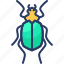 bug, cockroach, flea, insect, roach 