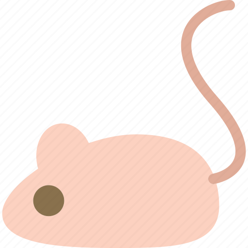 Animal, experiment, mouse icon - Download on Iconfinder