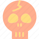 bones, head, human, skull