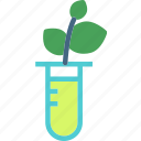 experiment, flask, leafs, plant