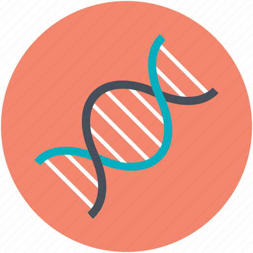 Cell, dna, dna helix, dna strand, genetic icon - Download on Iconfinder