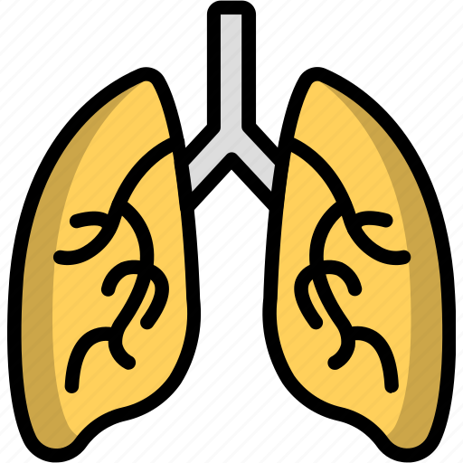 Anatomy, lungs, organ, medical icon - Download on Iconfinder