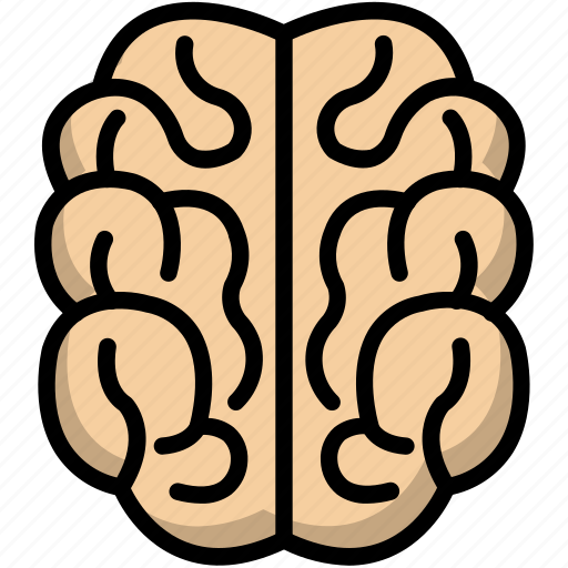 Brain, idea, creative, creativity icon - Download on Iconfinder
