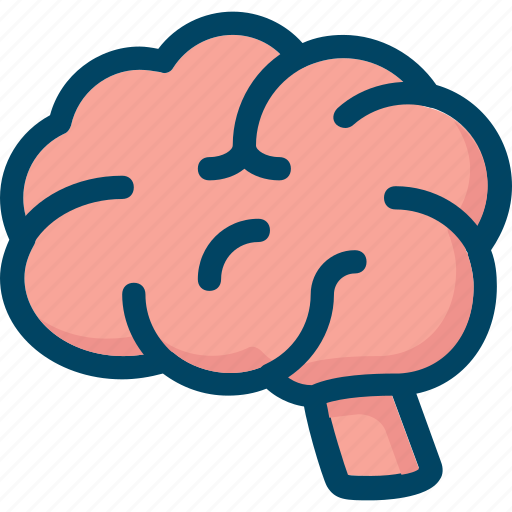 Brain, clever, knowledges, learning, smart, think icon - Download on Iconfinder