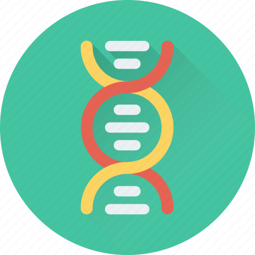 Biology, dna, genetics, helix, science icon - Download on Iconfinder