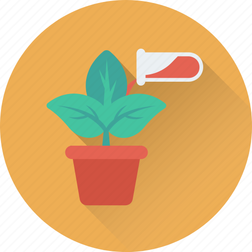 Botany, experiment, lab, leaf, plant icon - Download on Iconfinder
