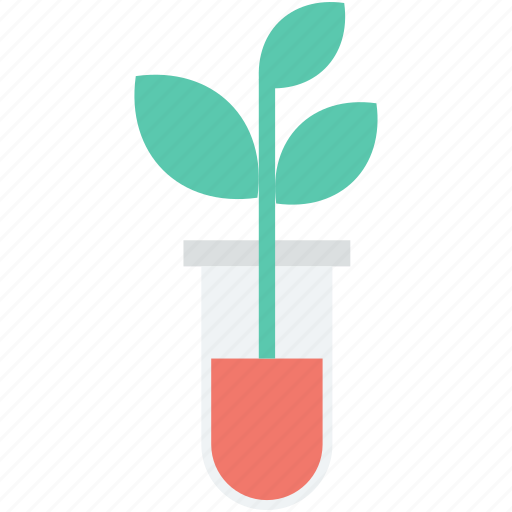 Botany experiment, flask, lab experiment, plant, plant in jar icon - Download on Iconfinder