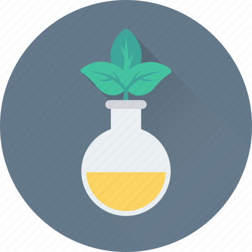 Botany, experiment, lab, leaf, plant icon - Download on Iconfinder