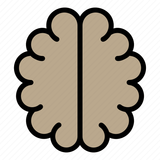 Brain, mind, neuron, intelligence, science icon - Download on Iconfinder