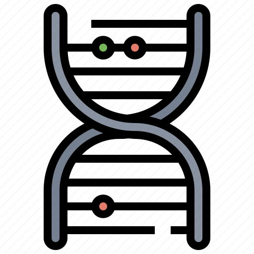 Biology, deoxyribonucleic, dna, education, genetical, science, structure icon - Download on Iconfinder