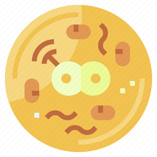 Biology, cell, education, science, virus icon - Download on Iconfinder