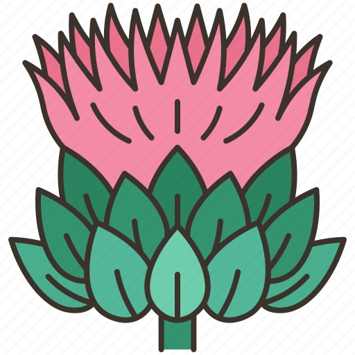 Thistle, flower, plant, scottish, heraldry icon - Download on Iconfinder