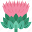thistle, flower, plant, scottish, heraldry 