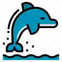 animal, sea, fish, dolphin
