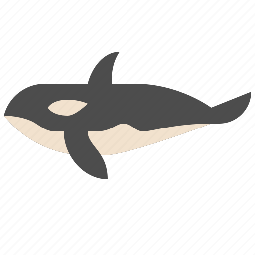Oceans, orca, sea, animals icon - Download on Iconfinder