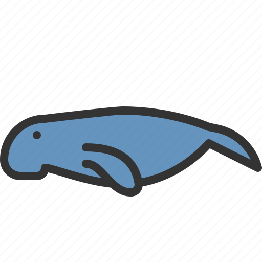 Oceans, dugong, sea, animals icon - Download on Iconfinder