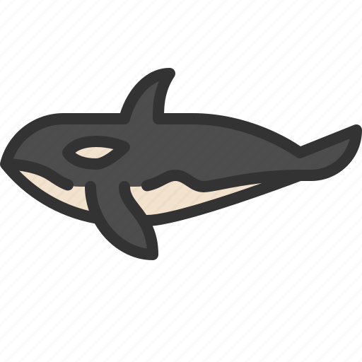 Oceans, orca, sea, animals icon - Download on Iconfinder