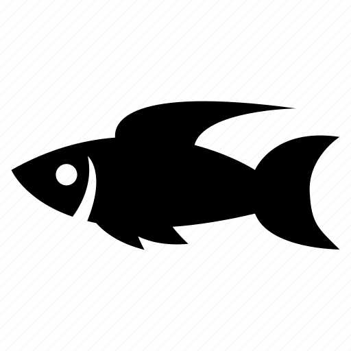 Animal, fish, guppy icon - Download on Iconfinder