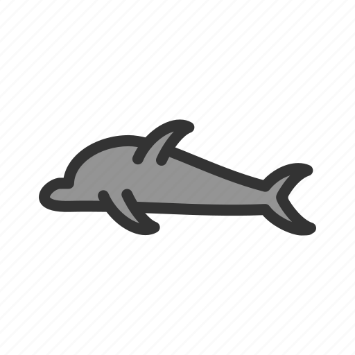 Animal, dolphin, fish, mammal, marine, nature, ocean icon - Download on Iconfinder