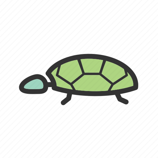 Green, nature, sea, shell, tortoise, turtle, wildlife icon - Download on Iconfinder