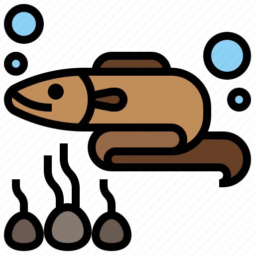 Animal, animals, aquarium, aquatic, eel, life, sea icon - Download on Iconfinder