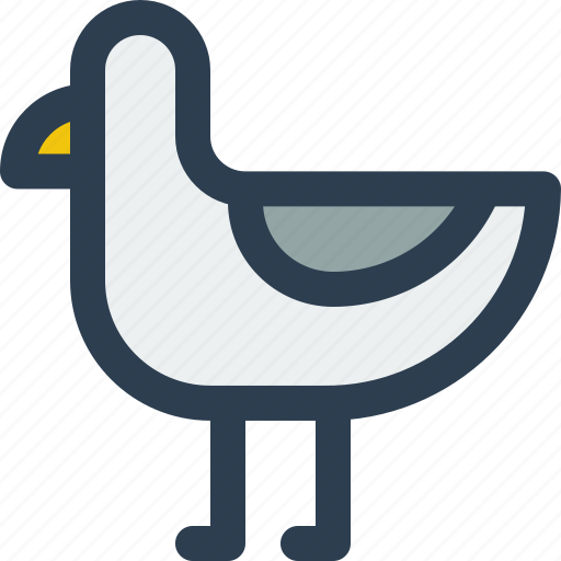 Seagull, bird, animal, fauna icon - Download on Iconfinder
