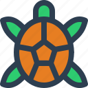turtle, animal, fauna
