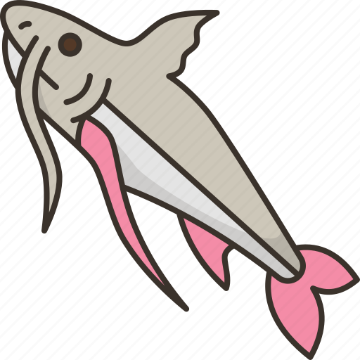 Catfish, fish, sea, animal, fishing icon - Download on Iconfinder