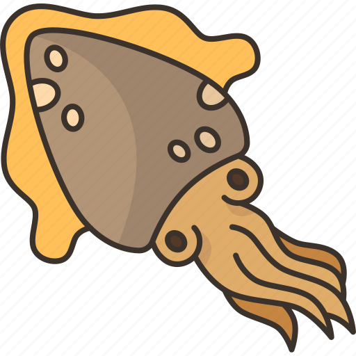 Cuttlefish, cephalopod, underwater, sea, nature icon - Download on Iconfinder