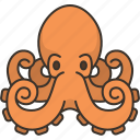 octopus, animal, marine, wildlife, aquarium