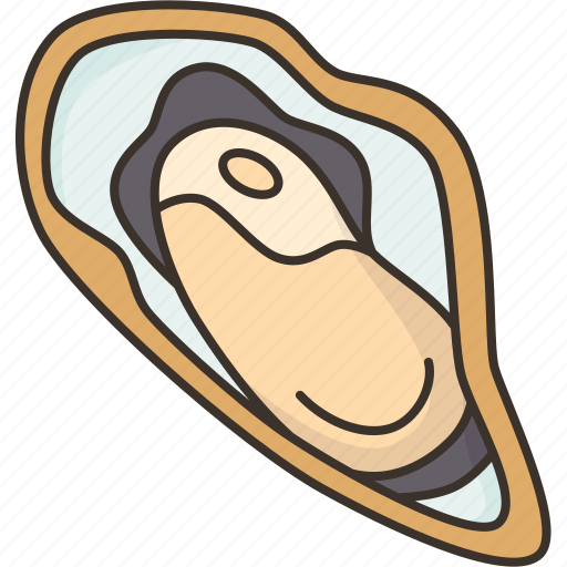 Oyster, seashell, seafood, fresh, gourmet icon - Download on Iconfinder