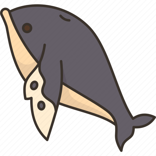 Whale, orca, mammal, wildlife, ocean icon - Download on Iconfinder