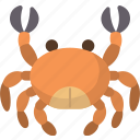 crab, crustacean, sea, animal, seafood