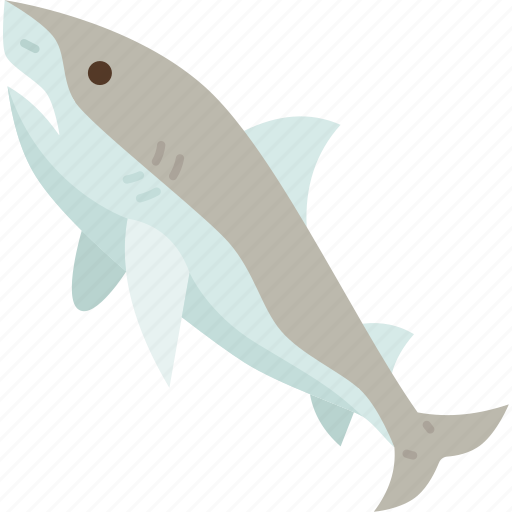 Shark, marine, wildlife, underwater, dangerous icon - Download on Iconfinder