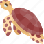 turtle, underwater, marine, animal, wildlife 