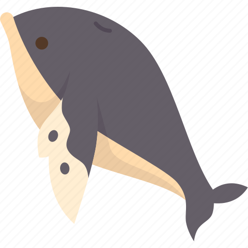 Whale, orca, mammal, wildlife, ocean icon - Download on Iconfinder