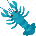 crayfish, crustacean, crawfish, underwater, seafood