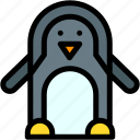penguin, ornithology, zoo, bird, animals, animal