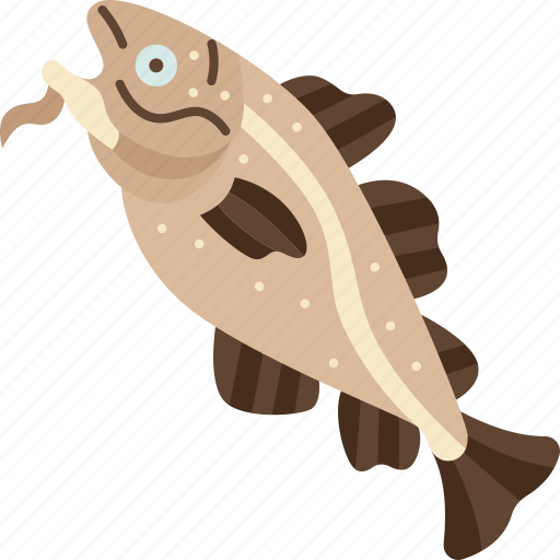 Codfish, marine, animal, seafood, food icon - Download on Iconfinder