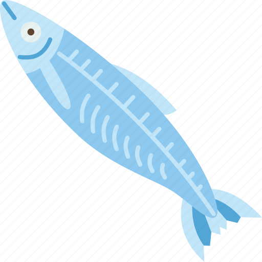 Sardine, fish, marine, animal, seafood icon - Download on Iconfinder