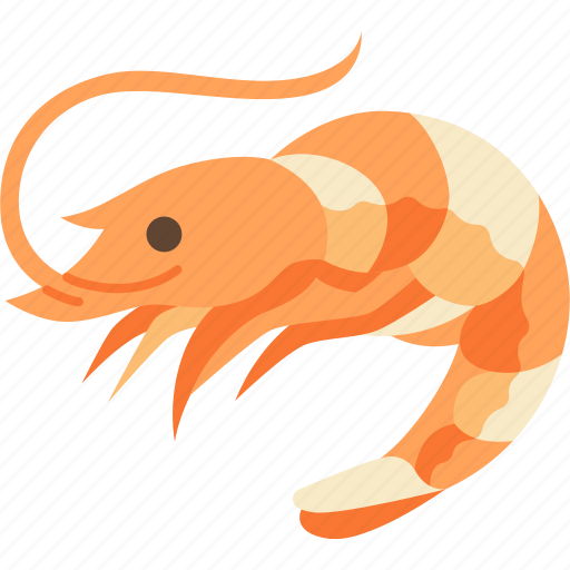 Shrimp, prawn, seafood, fresh, protein icon - Download on Iconfinder