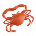 crab, seafood, crustacean, cuisine, shellfish