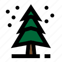 christmas, decoration, pine, plant, tree, xmas