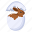 easter rabbit, easter bunny, rabbit egg, bunny egg, hare 