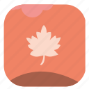 autumn, fall, leaf, nature, oak, season