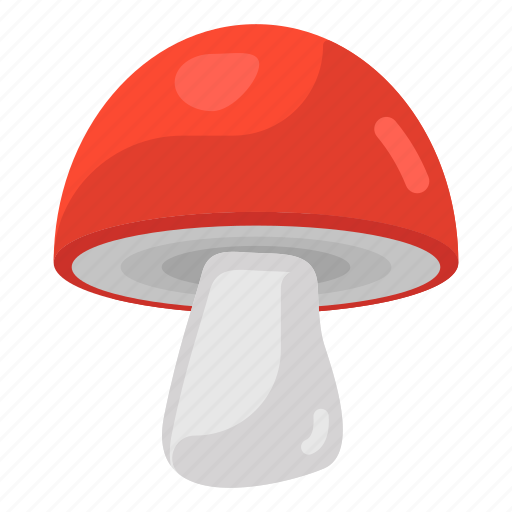 Mushroom, oyster mushroom, fungi, fungus, toadstool icon - Download on Iconfinder