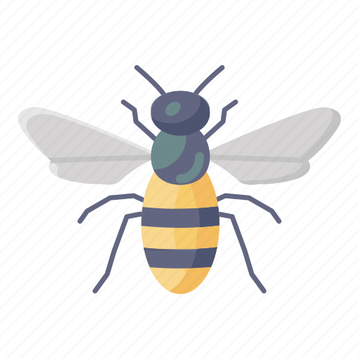 Honey, bee, honey bee, apis, bumblebee, creature, insect icon - Download on Iconfinder