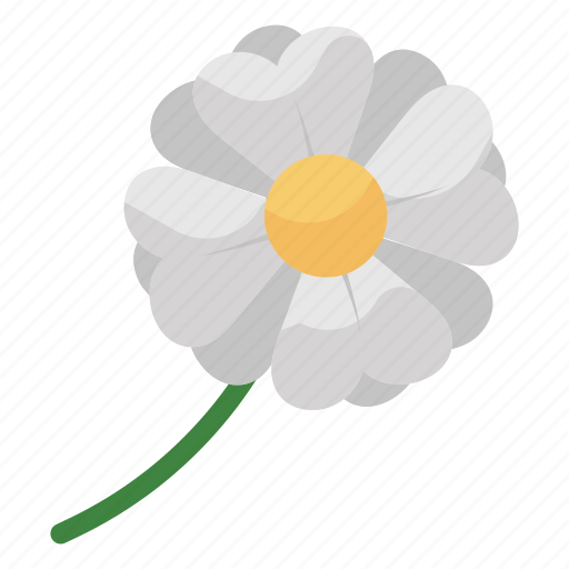 Jasmine, flower, jasmine flower, spring flower, botanical flower, garden flower icon - Download on Iconfinder