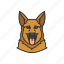 german shepard, k9, police dog, dog 